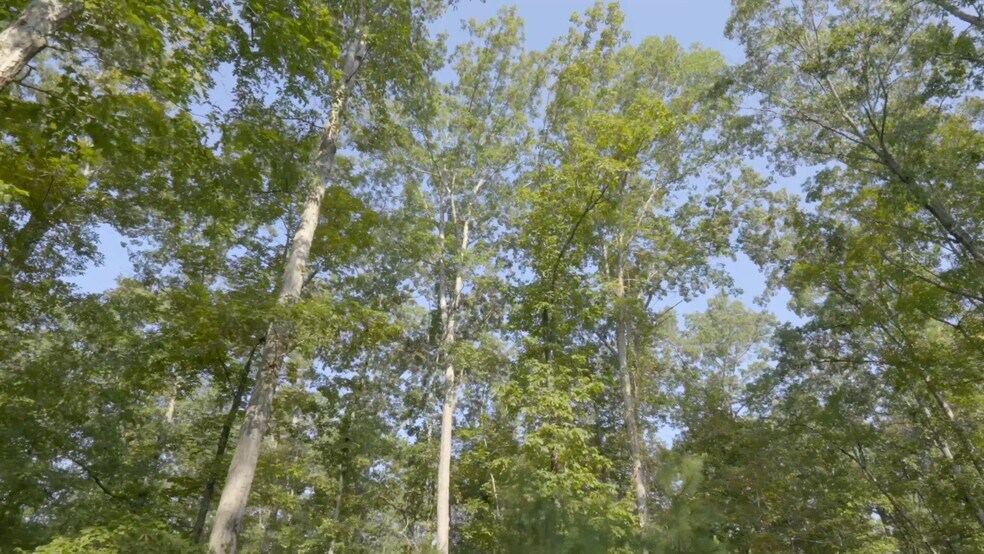 2903 Steele Rd, Griffin, GA à vendre - Vidéo sur l’annonce professionnelle – Image 2 sur 25