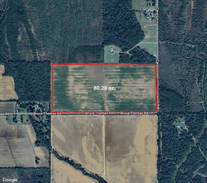 NW Quadrant of Bruce Thomas Rd and Carol ln, Rayville, LA à vendre - Photo principale – Image 1 sur 29