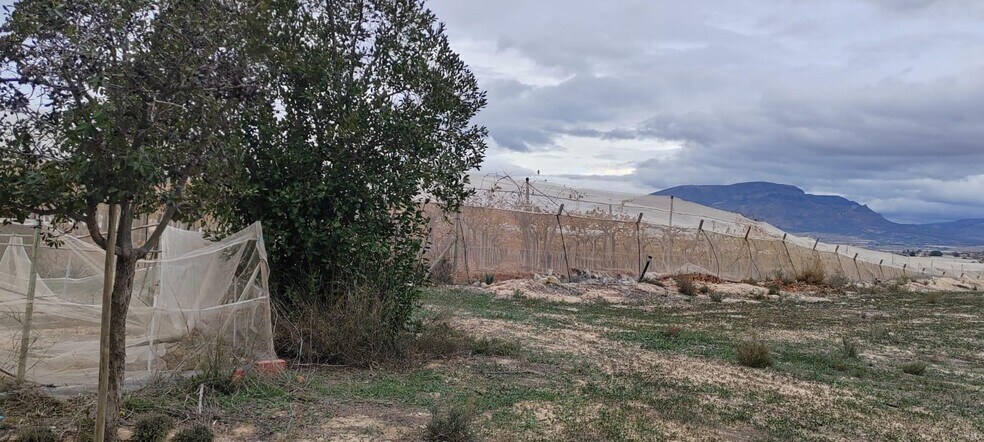 Terrain dans Monforte del Cid, Alicante à vendre - Photo de l’immeuble – Image 3 sur 9