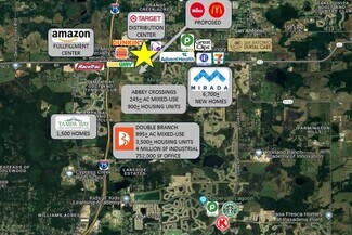 Plus de détails pour NEC SR 52 & Corporate Lake blvd, San Antonio, FL - Local commercial à louer