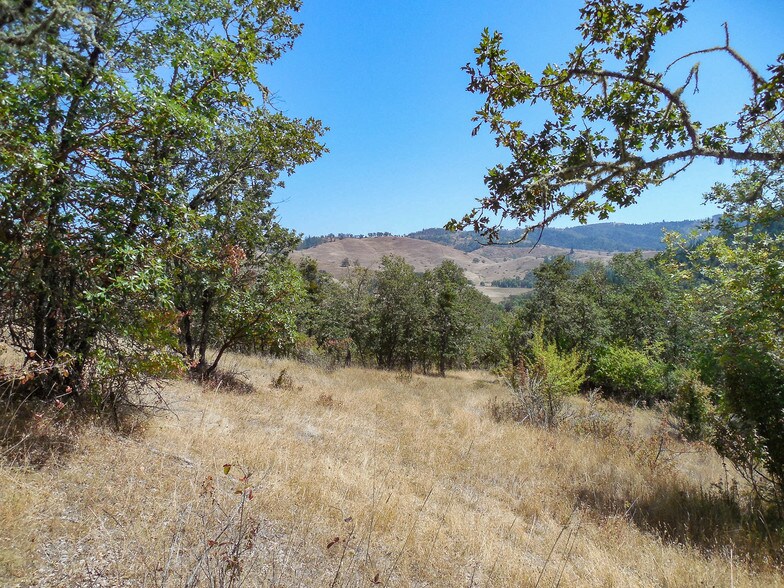 0 N Umpqua Hwy, Roseburg, OR à vendre - Photo principale – Image 1 sur 20