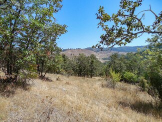 Plus de détails pour 0 N Umpqua Hwy, Roseburg, OR - Terrain à vendre