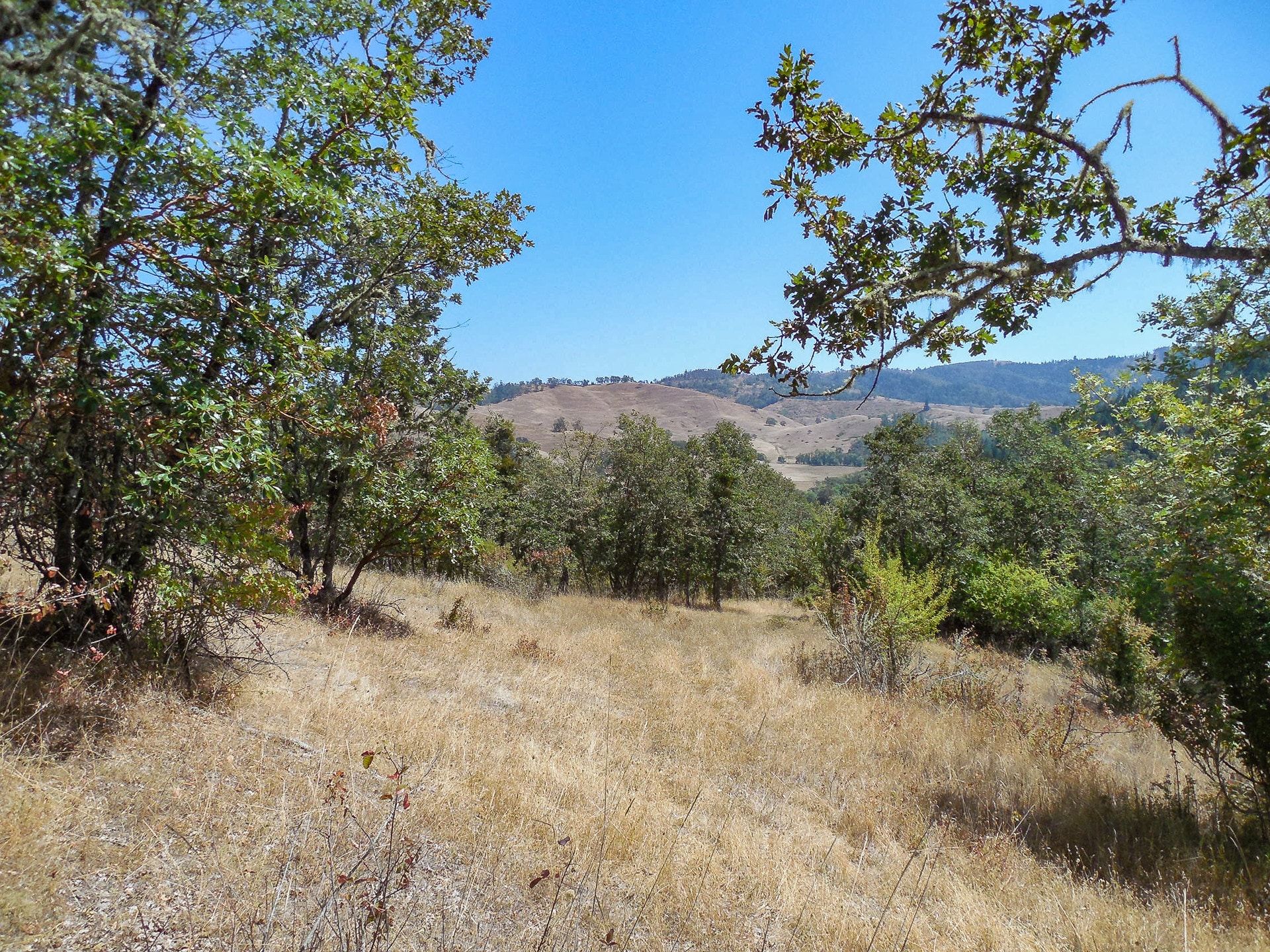 0 N Umpqua Hwy, Roseburg, OR à vendre Photo principale– Image 1 sur 21