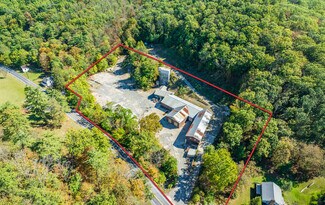 Plus de détails pour 294 Freedom Rd, Williamsport, PA - Industriel/Logistique à vendre