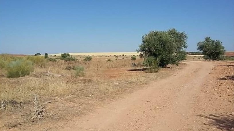 Polig. 1, R-5 Cañadilla portefeuille de 5 biens à vendre sur LoopNet.fr - Autre – Image 2 sur 11