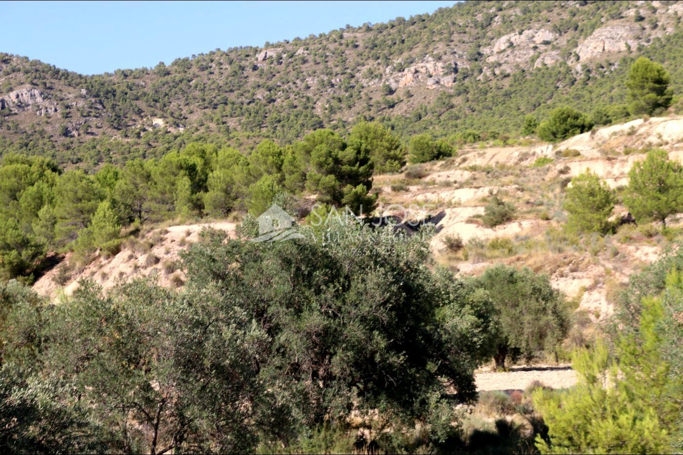 Terrain dans MONÒVER, Alicante à vendre Photo principale– Image 1 sur 24