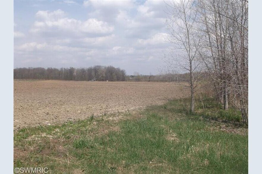 M 140 Hwy, Covert, MI à vendre - Photo principale – Image 1 sur 2