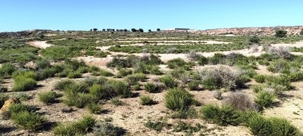 Partida los Cabezos, 16, Villena, ALI - Vue aérienne vue de carte - Image1