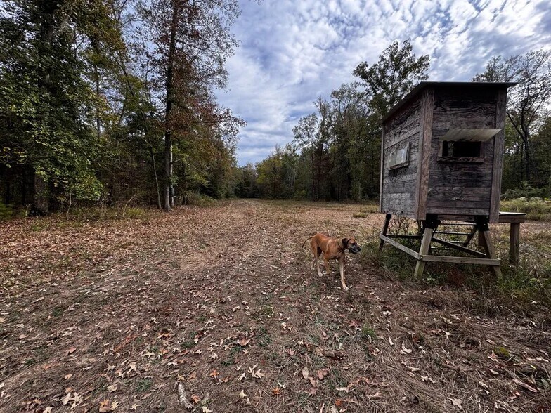 Coon Hop Rd, Hardaway, AL à vendre - Photo de l’immeuble – Image 2 sur 5