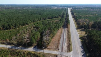Plus de détails pour 1044 Georgia Pacific rd, Alcolu, SC - Terrain à vendre
