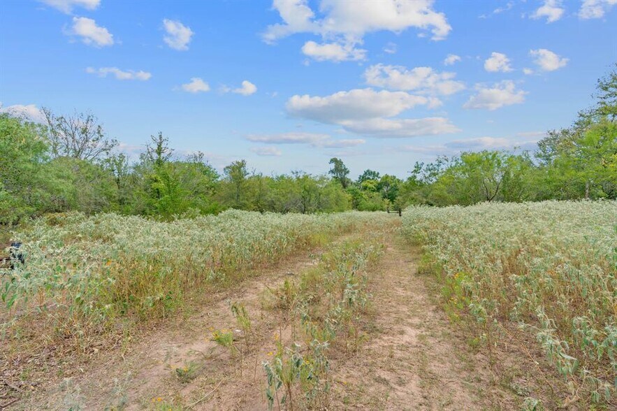 689 Chamberlin Rd, Dale, TX à vendre - Photo de l’immeuble – Image 3 sur 33