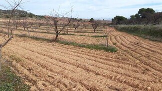 Plus de détails pour Camino de los Charquillos, Yecla - Terrain à louer