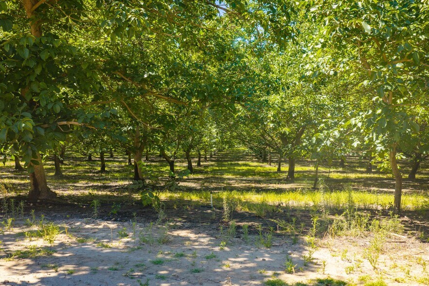 24608 Yosemite, Waterford, CA à vendre - Photo de l’immeuble – Image 3 sur 20