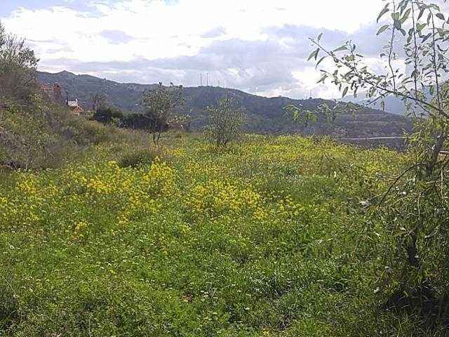 Calle Cuesta, 12, Lanjarón, Granada à vendre - Autre – Image 3 sur 7