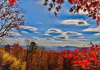 Plus de détails pour 2350 Squirrel Hunting Road, Morganton, GA - Terrain à vendre