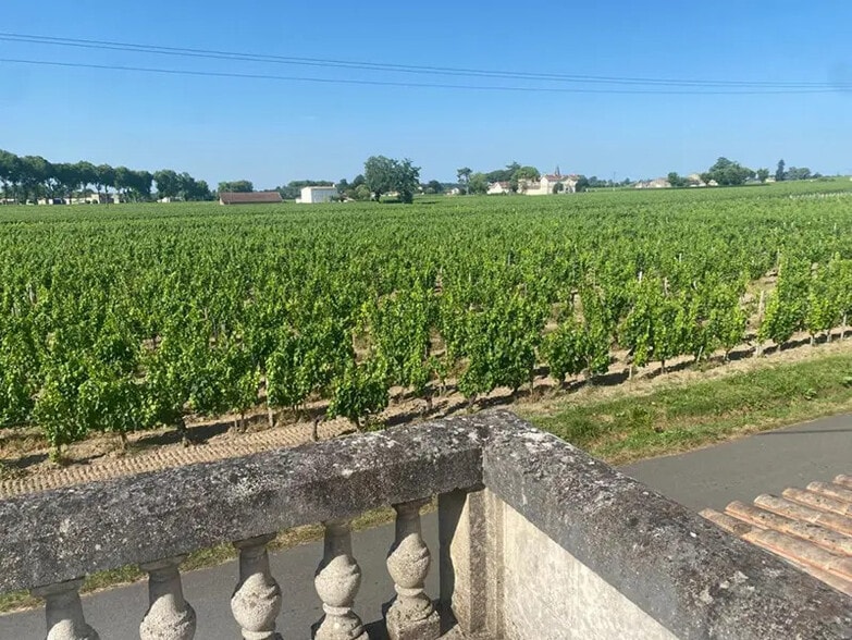 Local d'activités dans Pomerol à vendre - Aérien – Image 1 sur 4