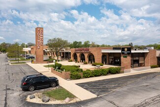 Plus de détails pour 3235-3345 Vollmer Rd, Flossmoor, IL - Local commercial à louer