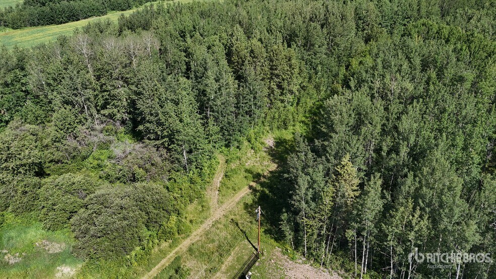 52.960278 -114.034236, Mulhurst Bay, AB à vendre - Aérien – Image 3 sur 8