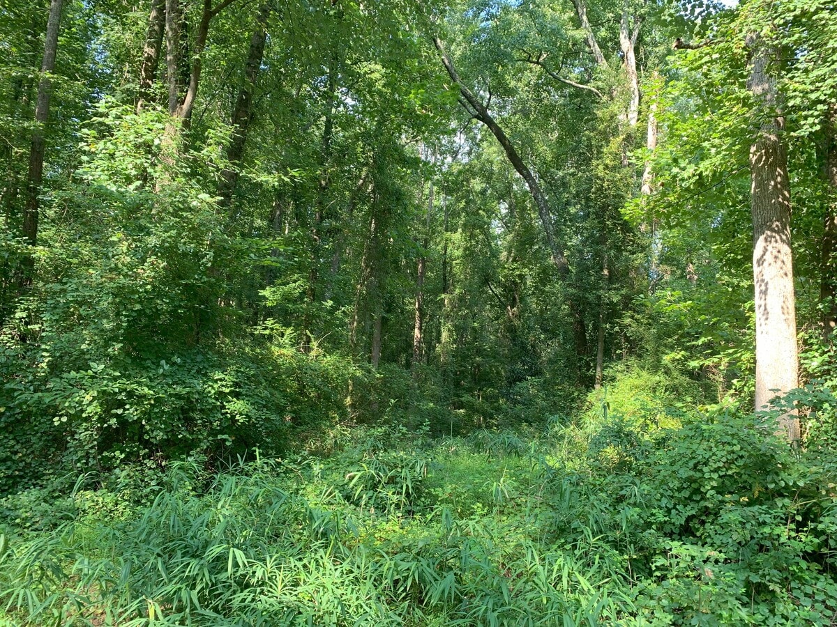 View Photo