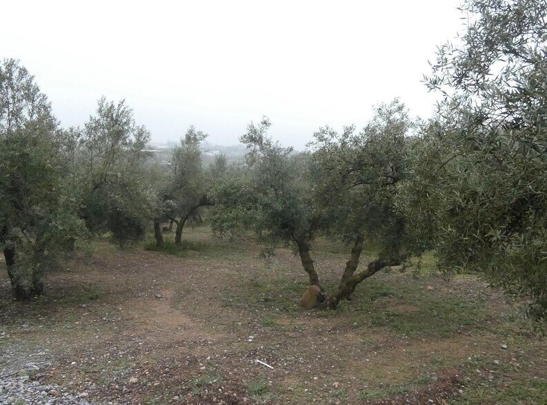 Terrain dans Peligros, Granada à vendre - Photo de l’immeuble – Image 3 sur 28