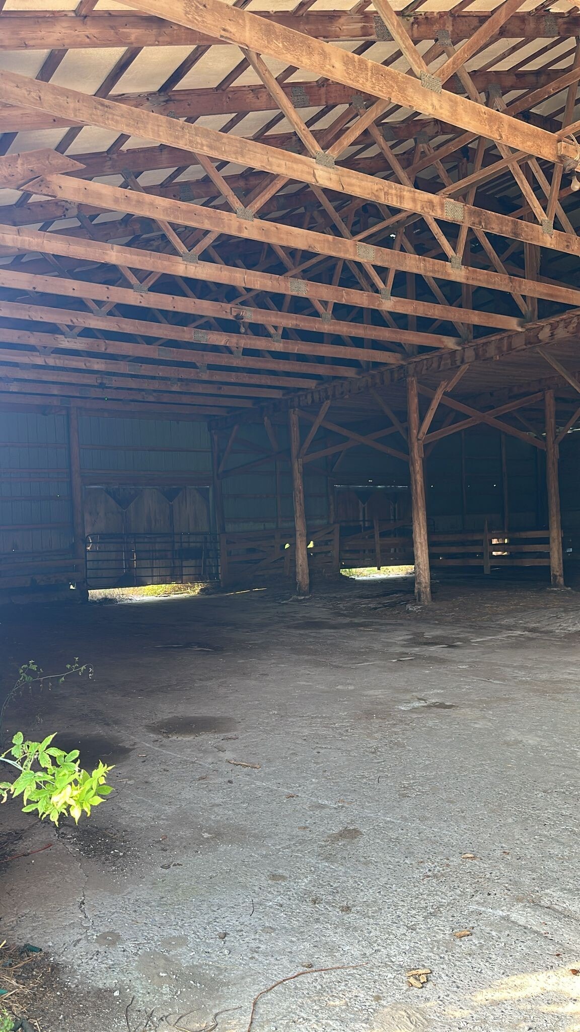 7076 5th Side Rd, Innisfil, ON à louer Photo principale– Image 1 sur 8