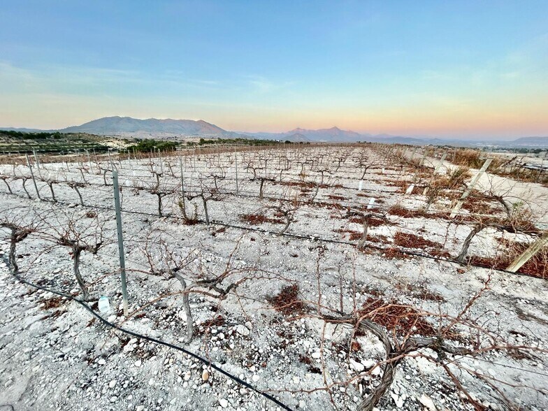 Terrain dans Novelda, Alicante à vendre - Aérien – Image 1 sur 4