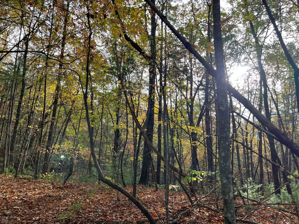 View Photo