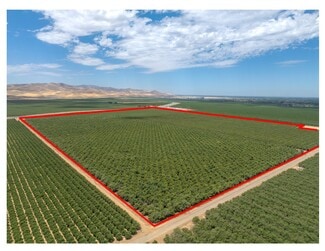 Plus de détails pour 1250 W. Marshall Rd, Patterson, CA - Terrain à vendre