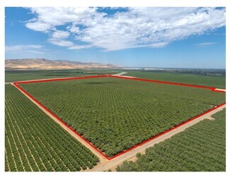 Plus de détails pour 1250 W. Marshall Rd, Patterson, CA - Terrain à vendre