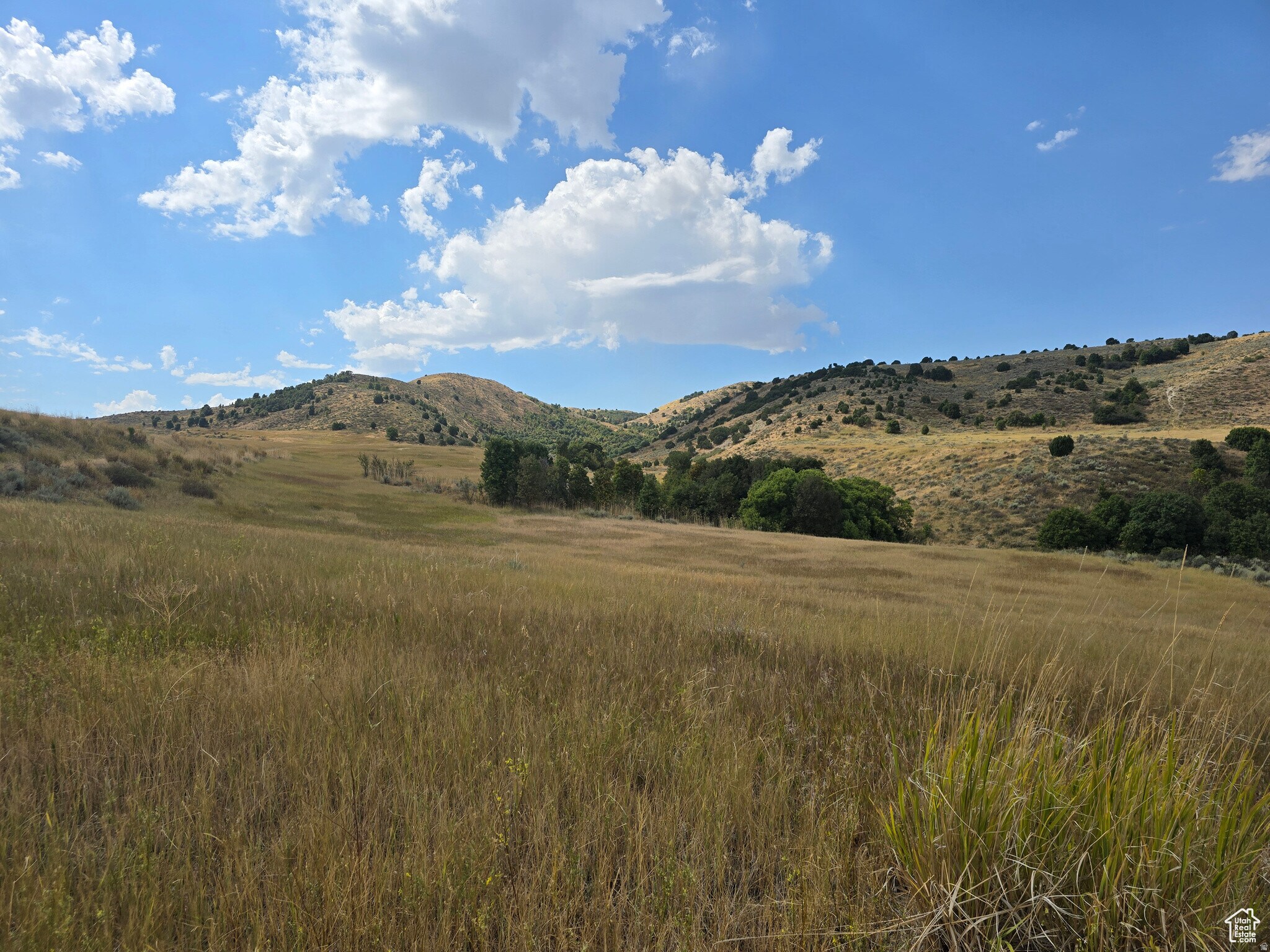 8400 8200 N, Newton, UT à vendre Photo principale– Image 1 sur 7