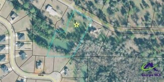 Plus de détails pour Craftway Drive, Hawkinsville, GA - Terrain à vendre