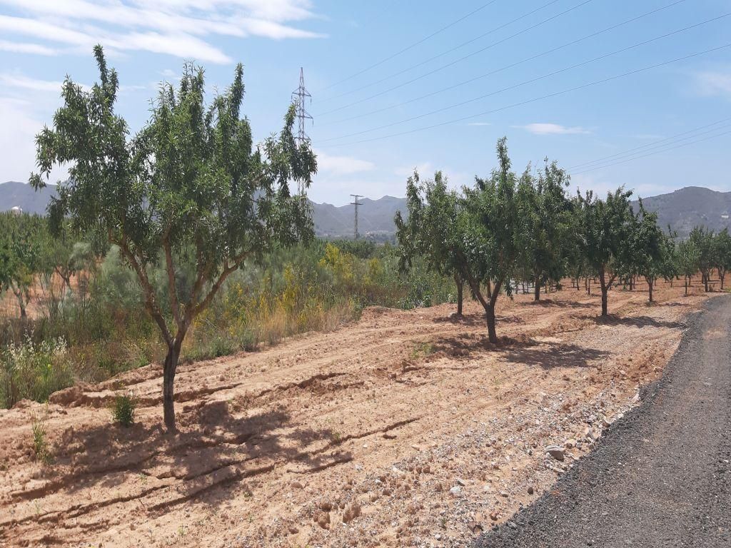 los Barrancos, 240, Fuente Álamo de Murcia, Murcia à vendre Photo principale– Image 1 sur 8