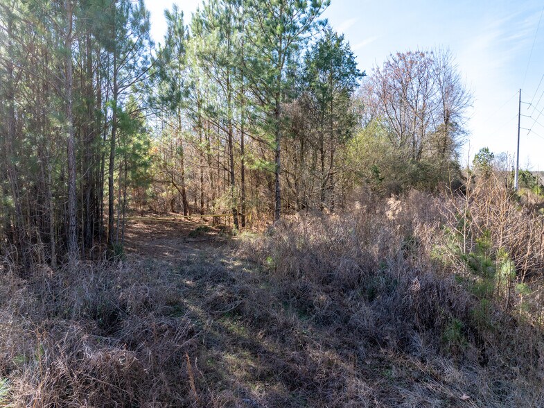 2071 Leslie Mill Rd, Greensboro, GA à vendre - Aérien – Image 3 sur 32