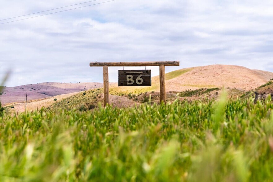 8050 Bitterwater Rd, Shandon, CA à vendre - Photo de l’immeuble – Image 2 sur 28