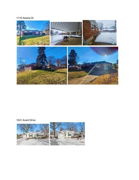 1110 Astoria Dr, Saint Louis, MO à vendre - Photo principale – Image 1 sur 1