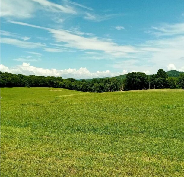 Bradyville Pike, Readyville, TN à vendre - Photo de l’immeuble – Image 1 sur 1