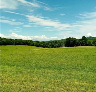 Plus de détails pour Bradyville Pike, Readyville, TN - Terrain à vendre