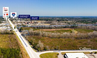 Plus de détails pour Hwy 601 & St Matthews, Orangeburg, SC - Terrain à vendre