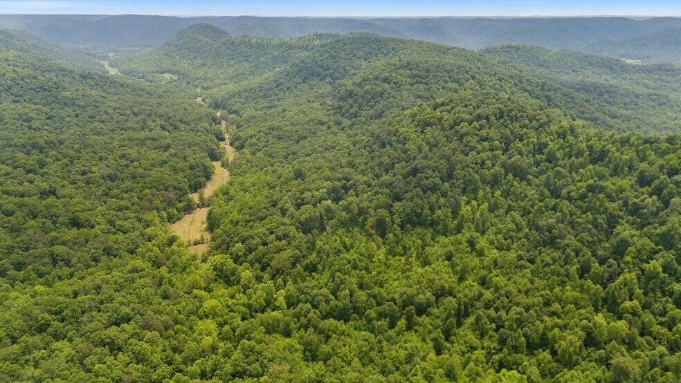 275 Horns River Rd, Irvine, KY à vendre - Photo de l’immeuble – Image 3 sur 9