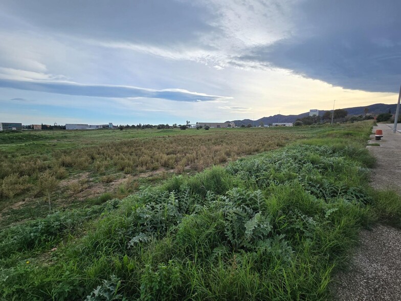 Terrain dans Amposta, Tarragona à vendre - Autre – Image 2 sur 5