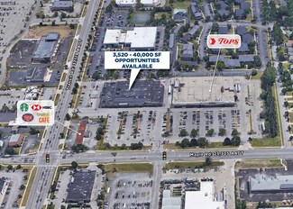 Plus de détails pour 2379 Maple Rd, Williamsville, NY - Local commercial à louer