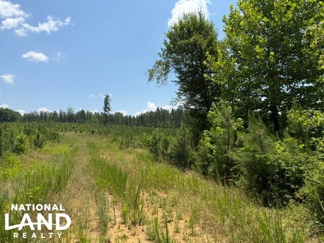 4200 & 4150 Joe Bost Road, Concord, NC à vendre - Autre – Image 1 sur 6