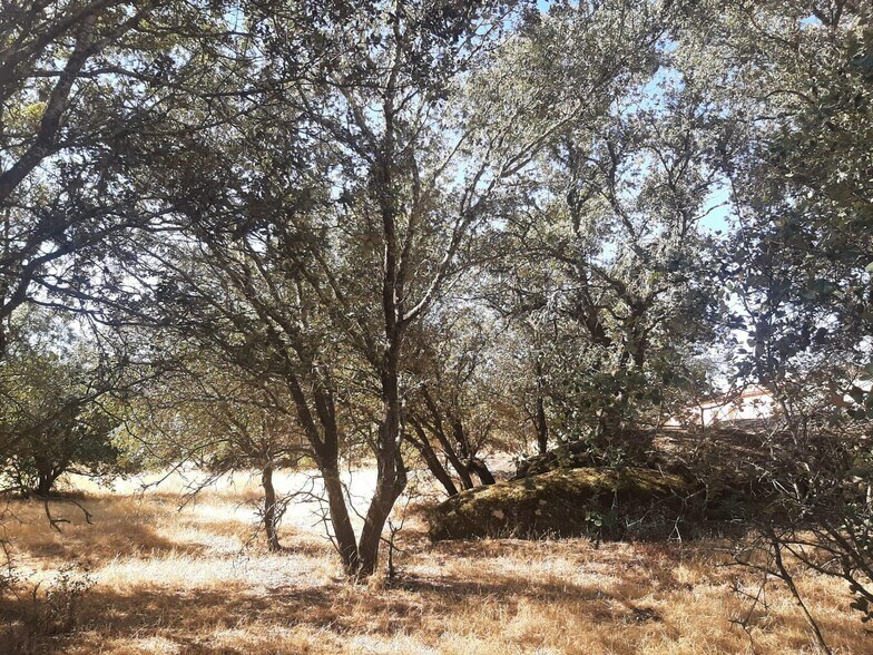 Terrain dans Torreorgaz à vendre - Photo de l’immeuble – Image 1 sur 6