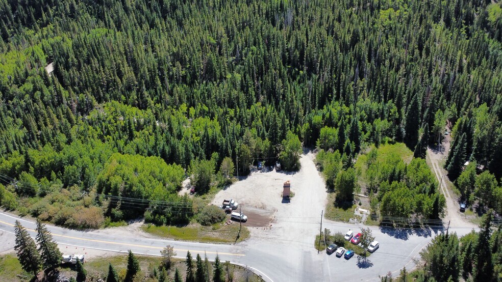 15 Rays Ln, Silver Plume, CO à vendre - Photo de l’immeuble – Image 3 sur 6