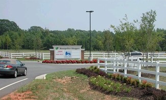 Plus de détails pour Mountain Rd, Montpelier, VA - Local commercial à louer