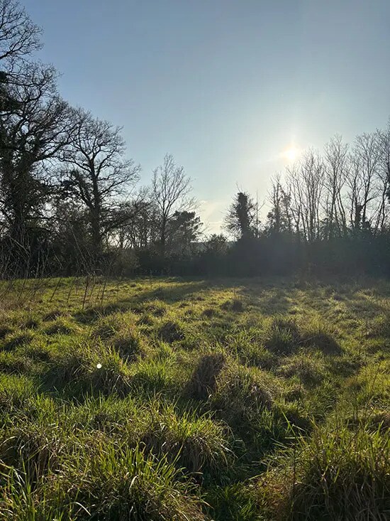 Terrain dans Herbignac à vendre Photo de l’immeuble– Image 1 sur 2