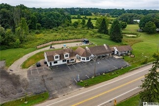 Plus de détails pour 3943 Route 394, Mayville, NY - Local commercial à vendre