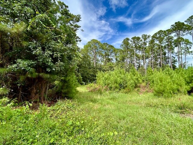 97116 Elk Creek Ct, Fernandina Beach, FL à vendre - Photo de l’immeuble – Image 2 sur 15