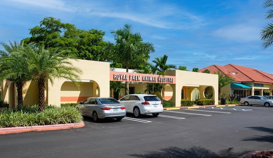 650 Royal Palm Beach Blvd, Royal Palm Beach, FL à louer Photo intérieure– Image 1 sur 1
