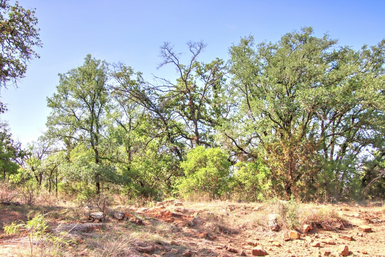 View Photo